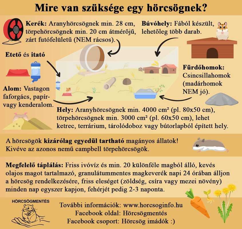 Cookie usage  hörcsög.hu - Minden ami hörcsög! - Infó - Chat - Galéria -  Fórum